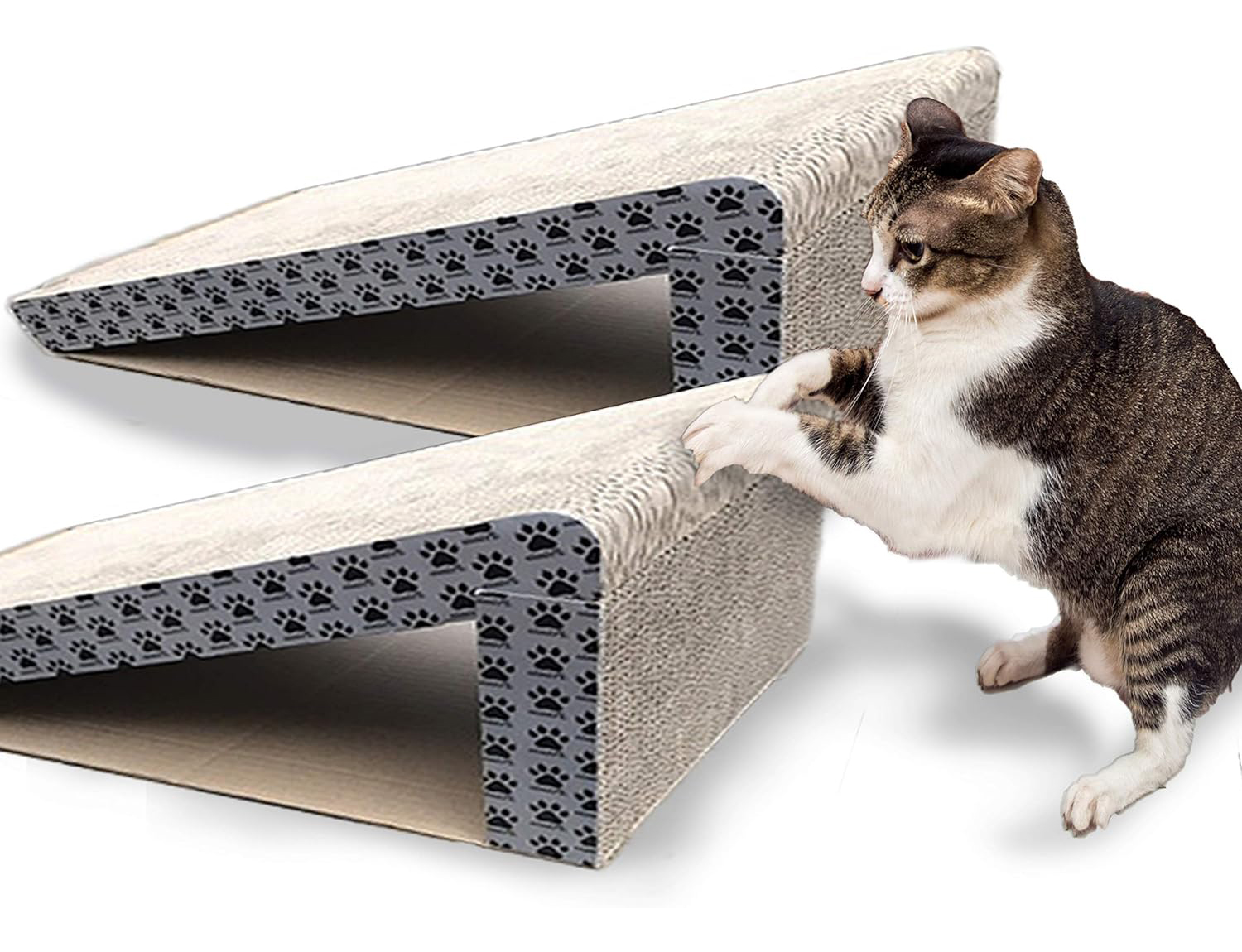 iPrimio Cat Scratch Ramps