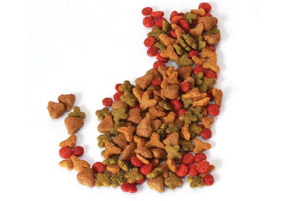 Cat food arranged in the shape of a cat.
