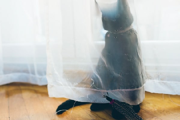 A black cat hiding behind a sheer curtain.
