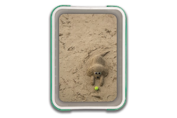 A cat litter box with a fun, beachy design.