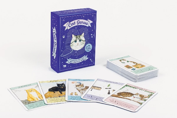 Cat gurus cat cards.