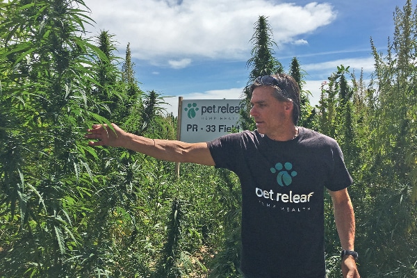 Pet Releaf invited Catster editors to Colorado, where co-founder Steve Smith showed us Pet Releaf’s Certified USDA Organic hemp farm that grows a strain of hemp specifically for pet products.