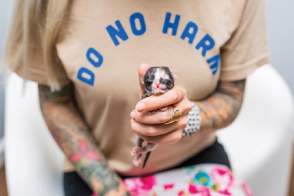 Hannah Shaw, Kitten Lady, co-founded the nonprofit The Orphan Kitten Club.