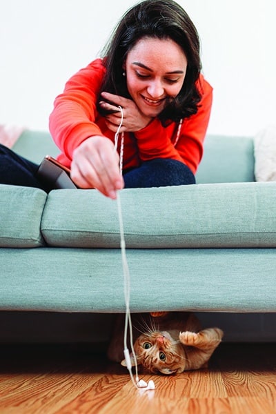 Find the best way for your cat to play and unwind! Photography by: ©GabrielPevide | Getty Images