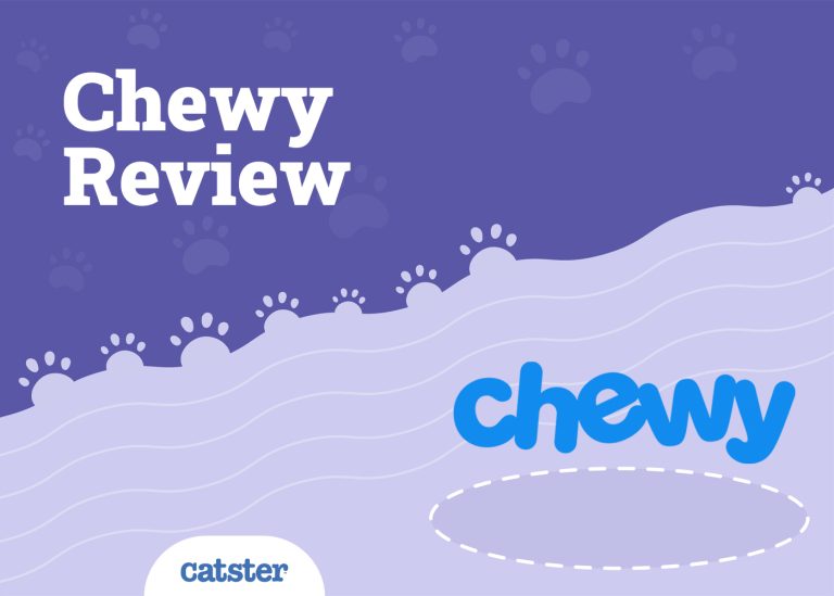 Chewy (company) visual data 7