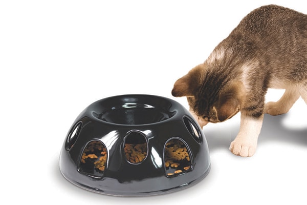 Tiger Diner from Pioneer Pet; pioneerpet.com