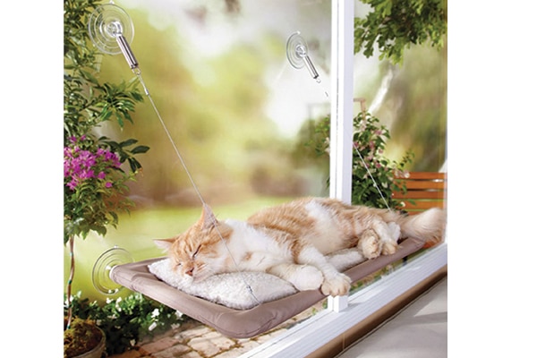 The Sunny Seat gives your cat a view of the great outdoors. osteranimalcare.com