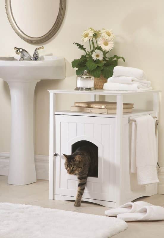 Cat Washroom