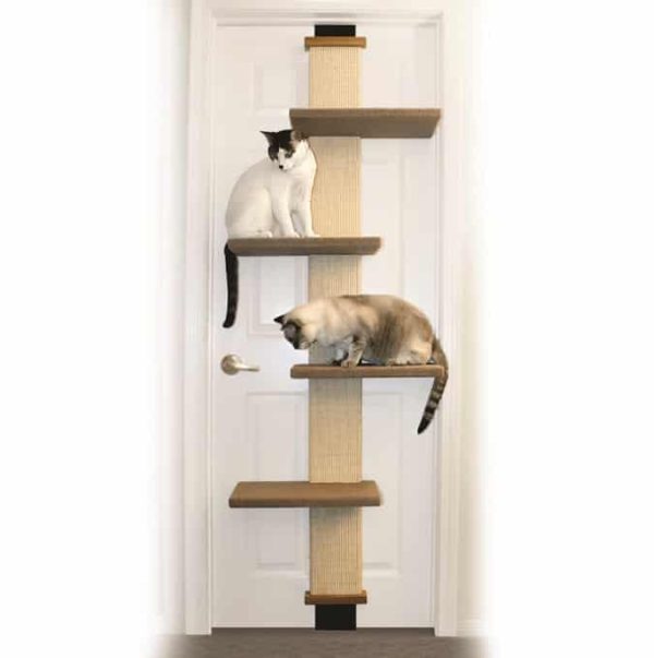 Cat Climber