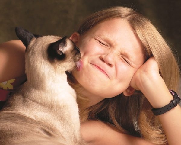 cat licking face