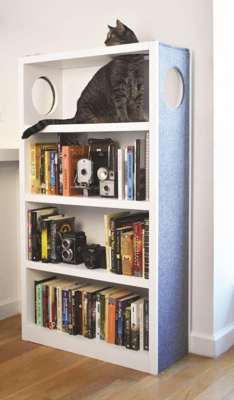 PurrShelf cat furniture