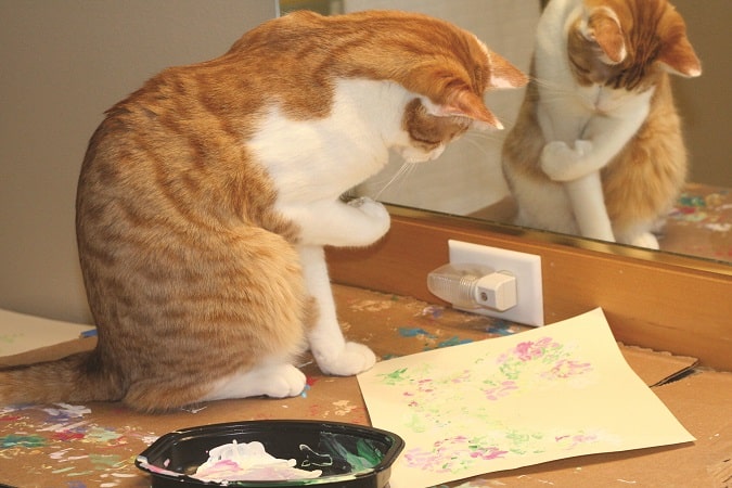 acrylic artistic cat