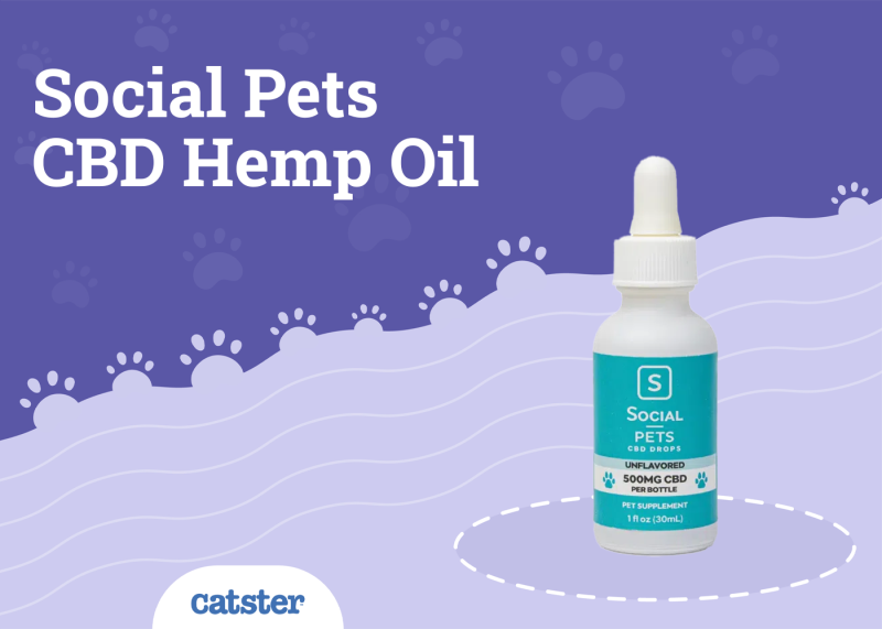 Social Pets CBD Hemp Oil