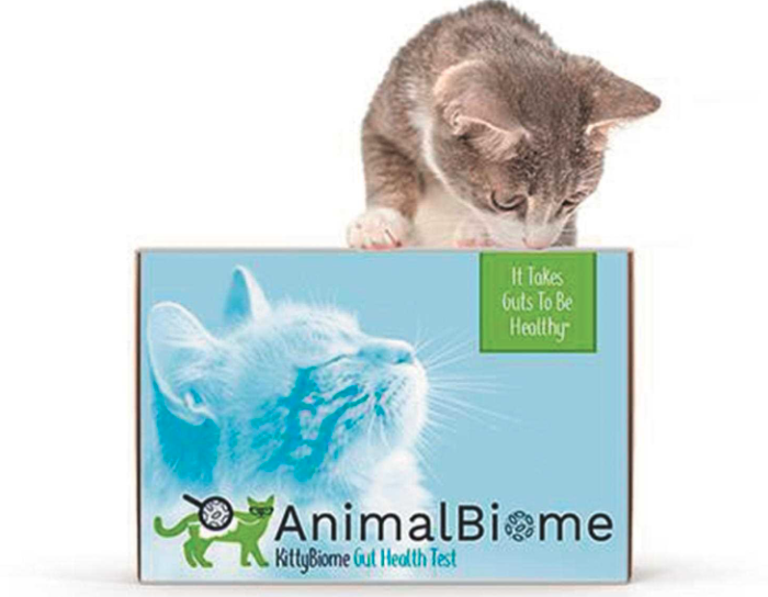 Animal Biome