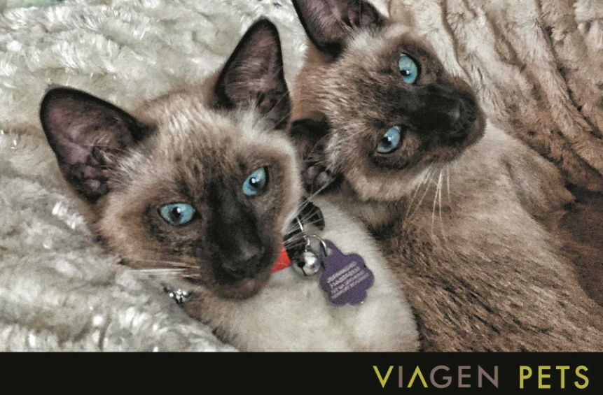 Viagen Pets