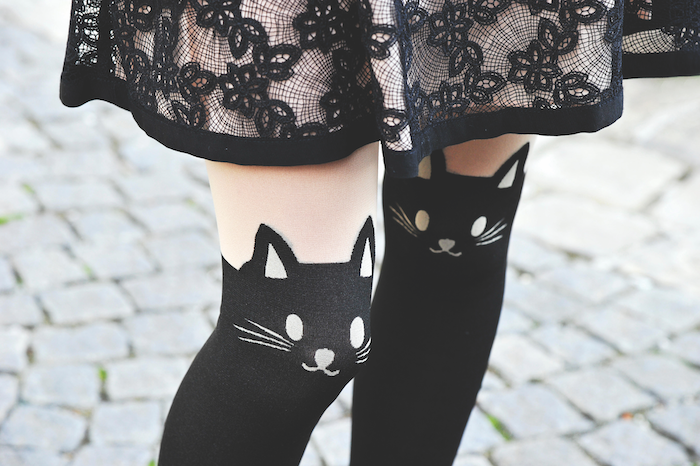 cats ringing in the new year