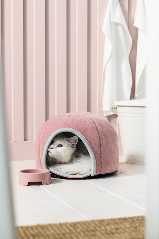 cat products