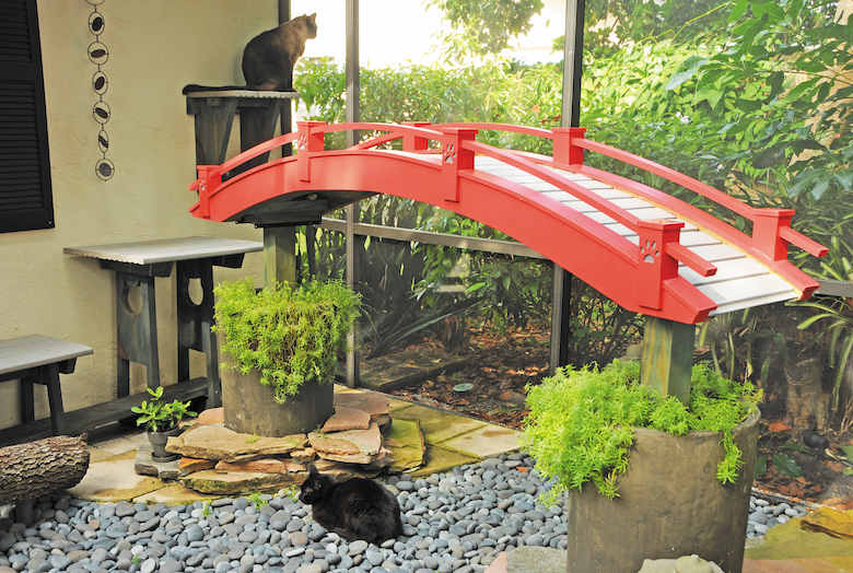 Catio