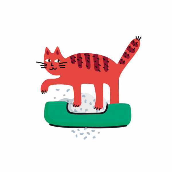 Try These EcoFriendly Cat Litters Catster