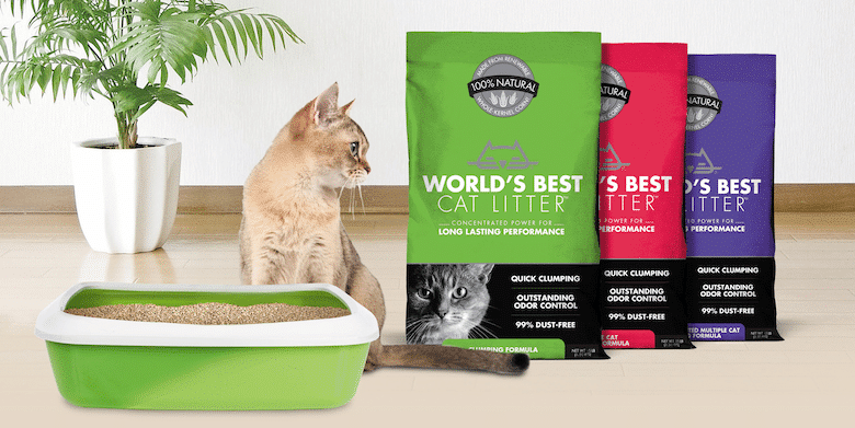 Try These EcoFriendly Cat Litters Catster