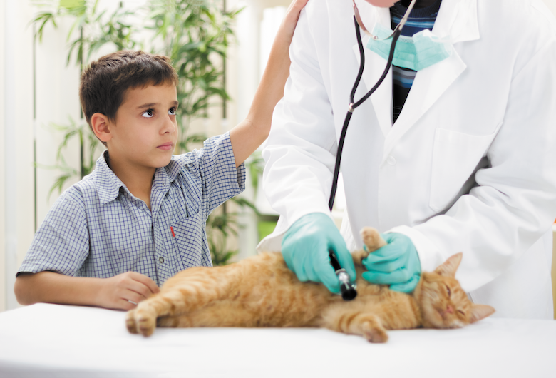 FIP Cure