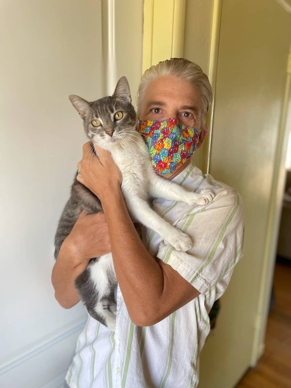 Coronavirus and Cats What Cat Owners Need to Know About COVID19 Catster