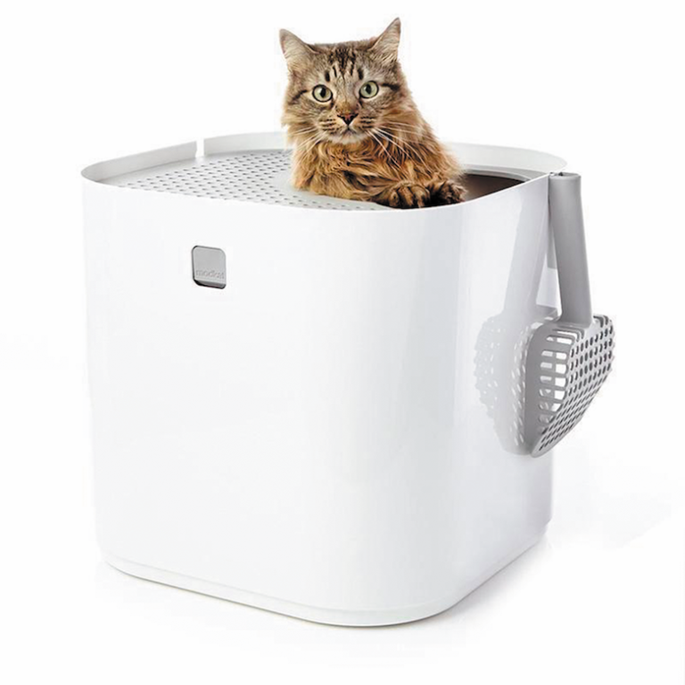 Tips for Choosing the Right Litter Box and Litter Box Location Catster