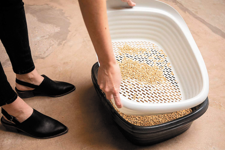 Tips for Choosing the Right Litter Box and Litter Box Location Catster