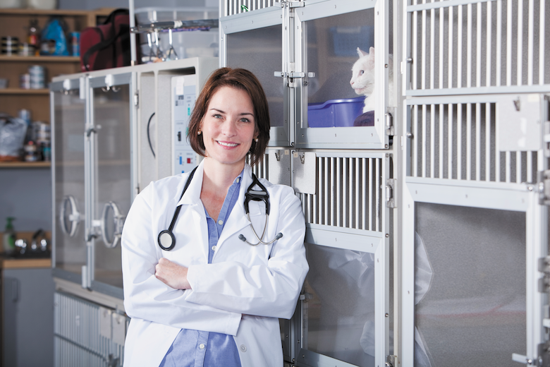 Veterinary Specialist