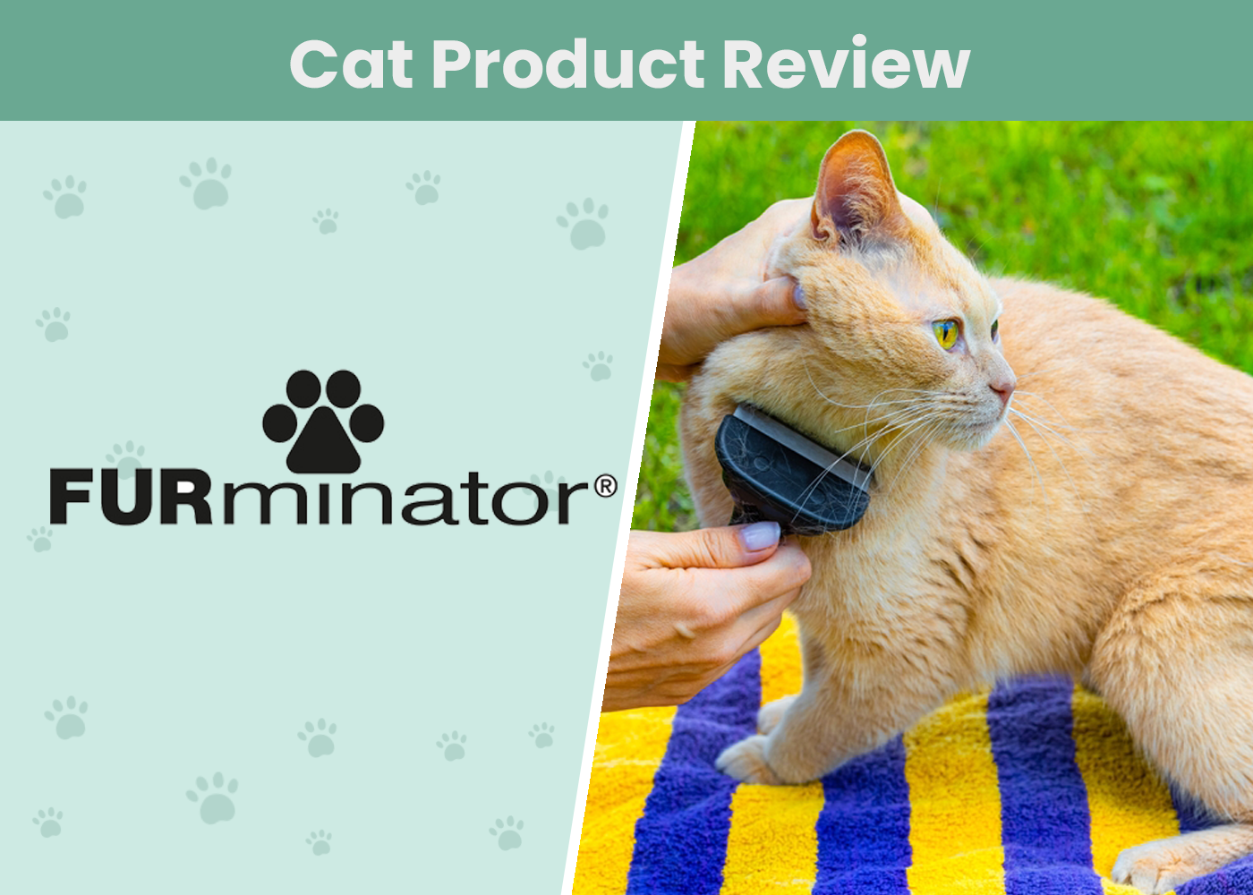 Cat Product Review Furminator