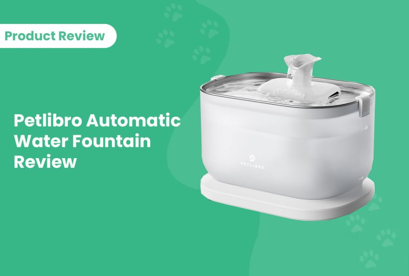 Petlibro Automatic Water Fountain Review