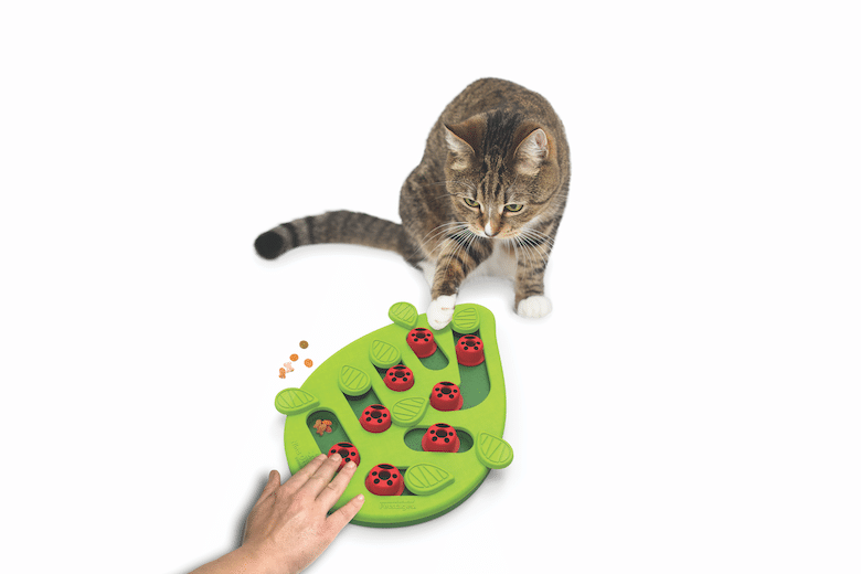Cat-Friendly Products