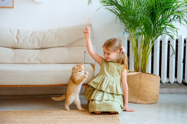 little girl playing with a cat indoor