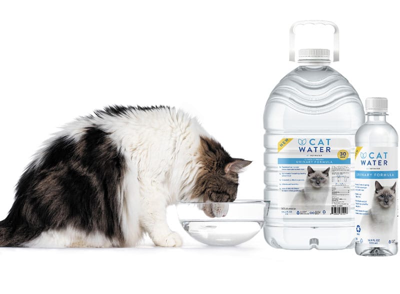 Prevent Urinary Issues Before They Start