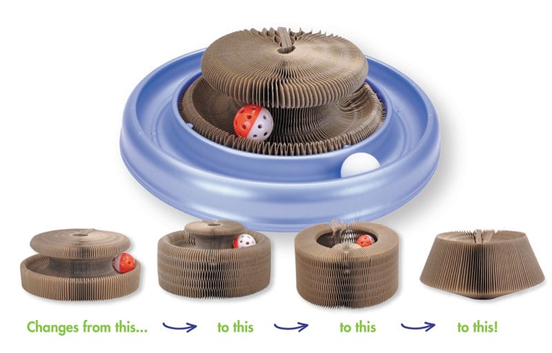 Cat’s playtime getting dull? Transform It!
