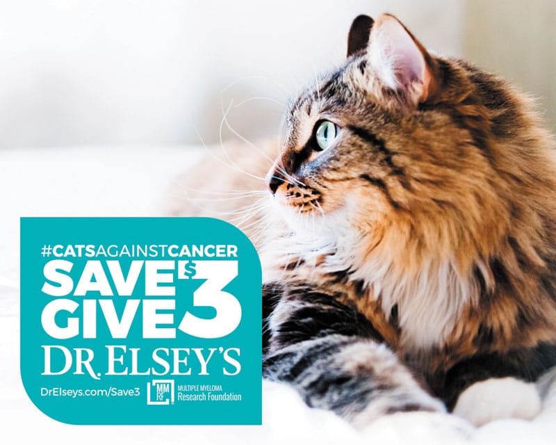This holiday giving season, we’re putting our best paws forward to fight for a cure 