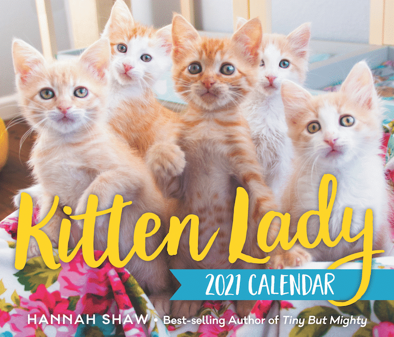cat calendars