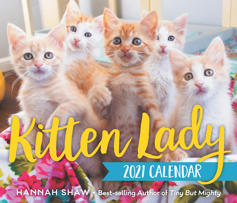 Leap Into 2021 With These Cat Calendars Catster