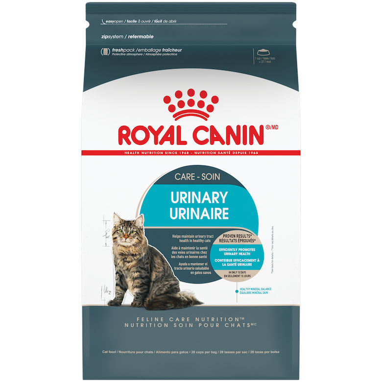 cat products