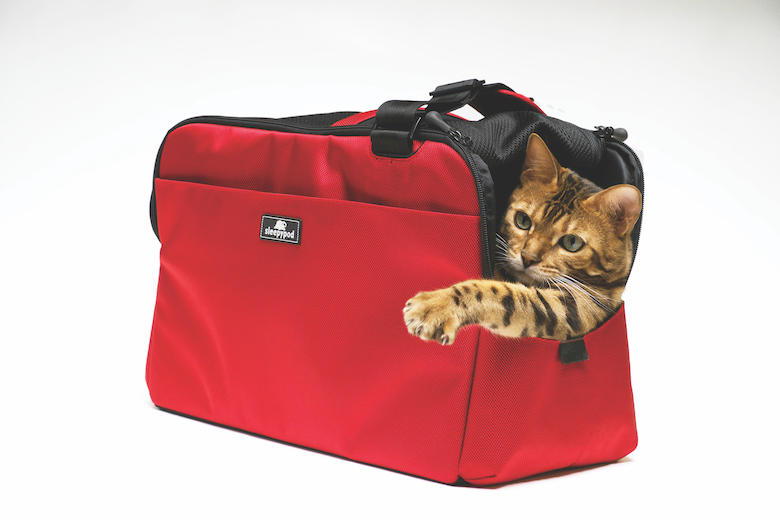 Organize Kitty