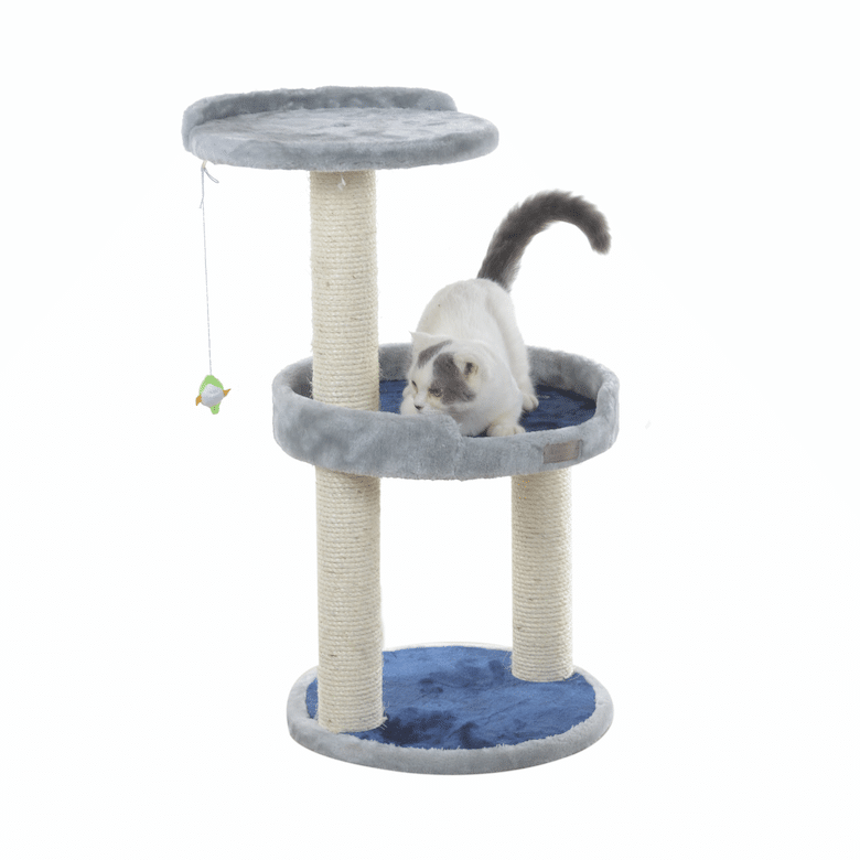 new cat checklist