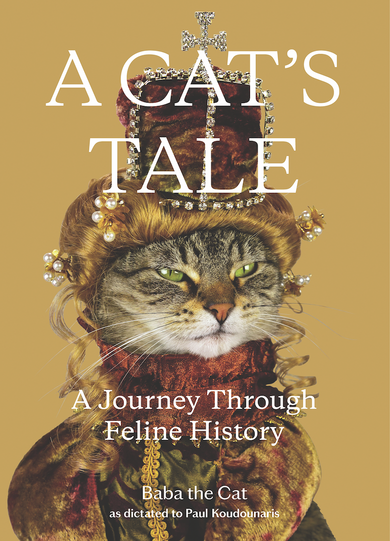 4 Books for Cat Lovers to Pick Up This Month Catster