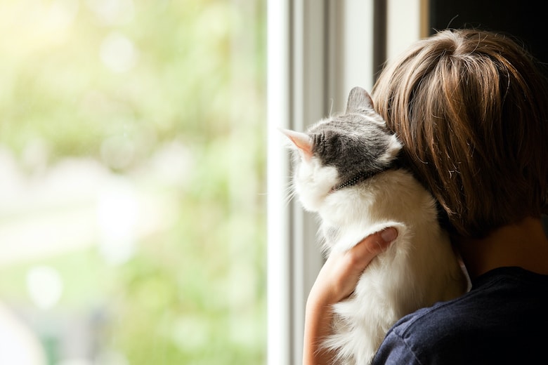 is your cat stressed