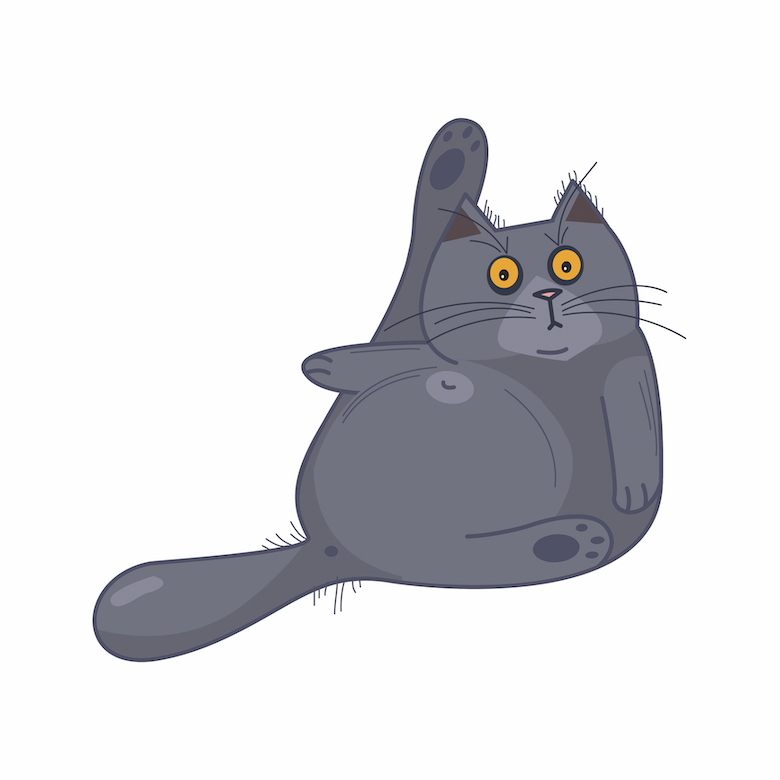 Cat Exercise lazy cat