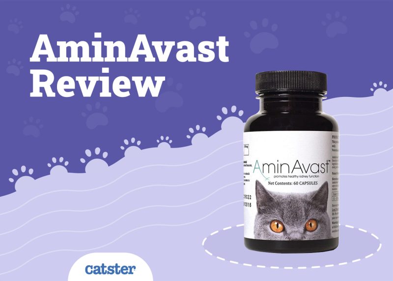 AminAvast Review