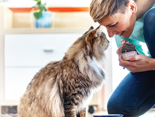 changing cat food