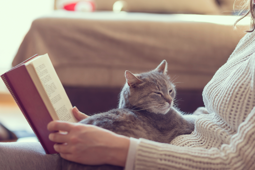 tabby cat lying on its owners lap infront of a book while they are reading