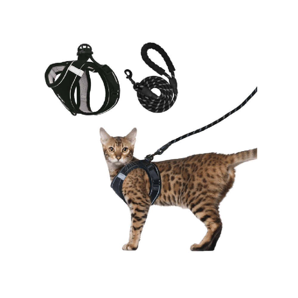 Harness and Leash Set new 1000