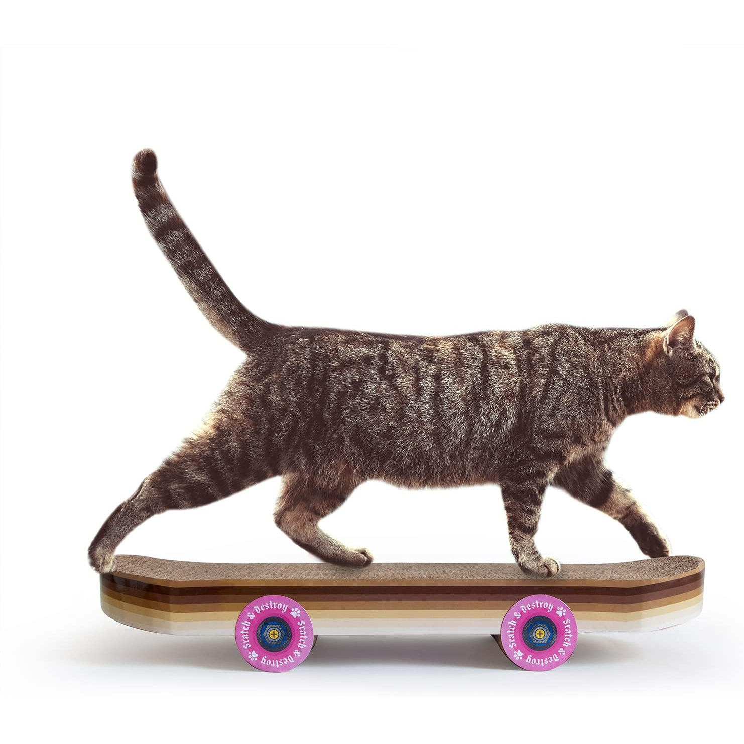 Suck UK Cat Scratch Pad Skateboard Cat Scratchers for Small Breeds New