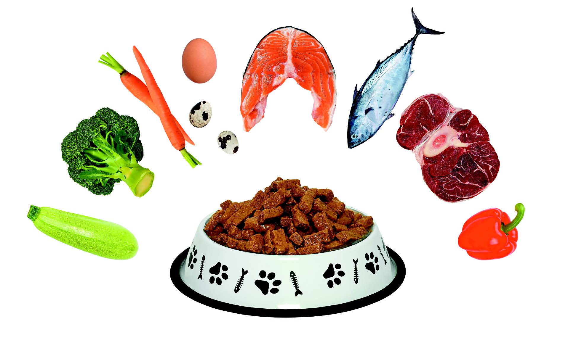 Limited Ingredient Cat Treats To Offer Your Pet Catster